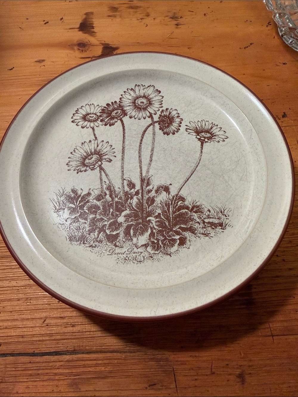 Noritake Cream Salad Plate with Brown Daisy Floral Motif x4